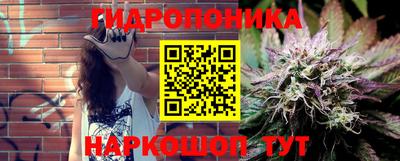 шишки Бузулук
