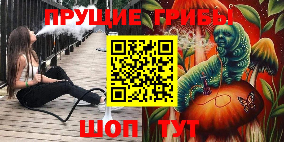 Коммунар  Псилоцибиновые грибы Psilocybine cubensis  Вход с VPN 