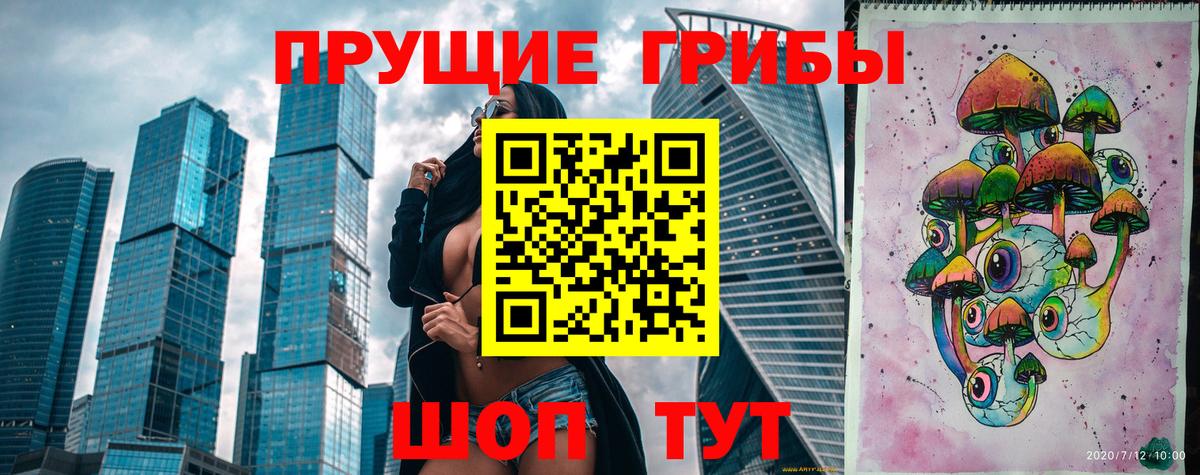 Псилоцибиновые грибы мицелий Коммунар